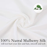 Mulberry Silk Pillow Cases Set of 2 in Various Colors