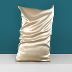 Mulberry Silk Pillow Cases Set of 2 in Various Colors