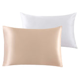 Mulberry Silk Pillow Cases Set of 2 in Various Colors Light Pink