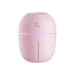 300ml Portable Ultrasonic Humidifier NO.9 as showed