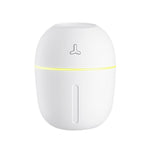 300ml Portable Ultrasonic Humidifier NO.8 as showed