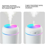 300ml Portable Ultrasonic Humidifier